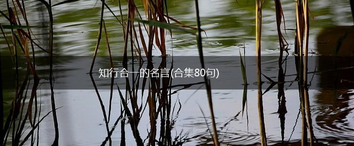 知行合一的名言(合集80句),第1张