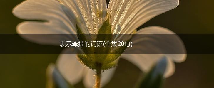 表示牵挂的词语(合集20句),第1张 表示牵挂的词语(合集20句),第1张