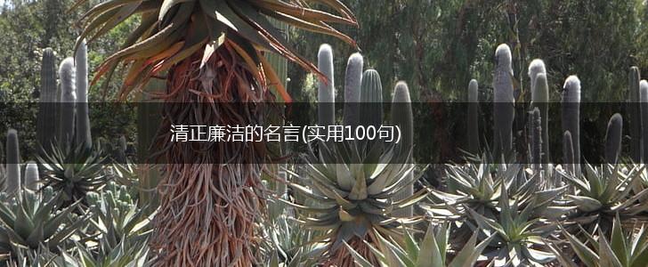 清正廉洁的名言(实用100句),第1张