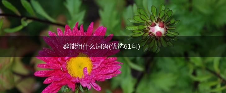 辟能组什么词语(优选61句),第1张