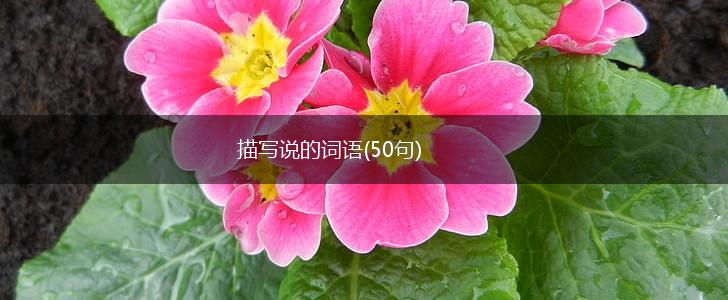 描写说的词语(50句),第1张