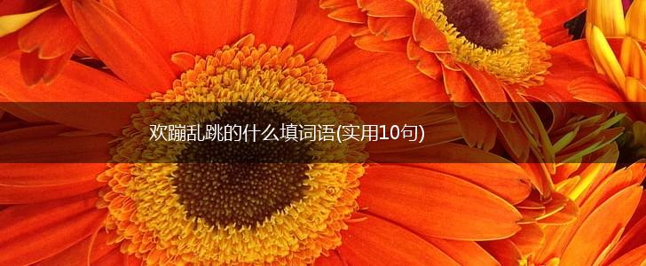 欢蹦乱跳的什么填词语(实用10句),第1张
