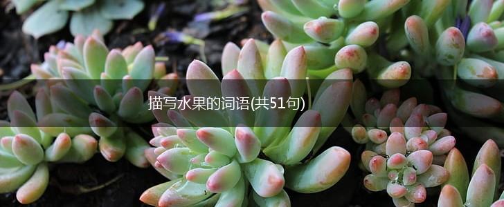 描写水果的词语(共51句),第1张