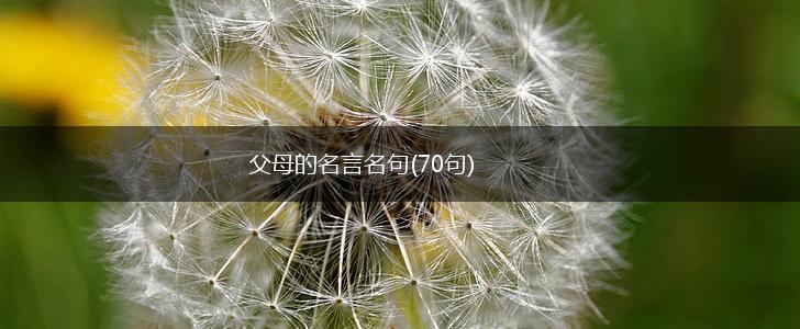 父母的名言名句(70句),第1张 父母的名言名句(70句),第1张