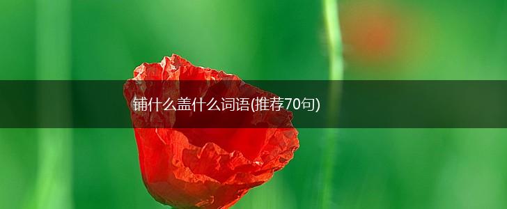 铺什么盖什么词语(推荐70句),第1张