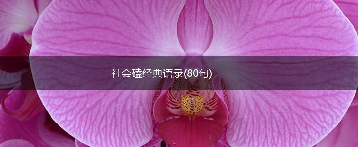 社会磕经典语录(80句),第1张