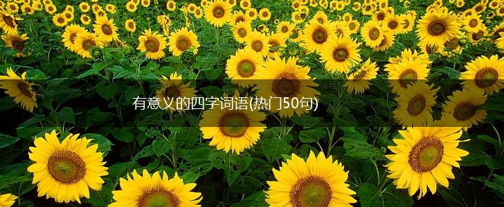 有意义的四字词语(热门50句),第1张