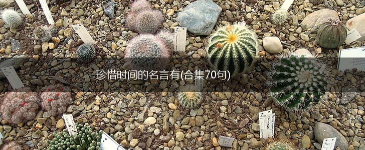 珍惜时间的名言有(合集70句),第1张 珍惜时间的名言有(合集70句),第1张