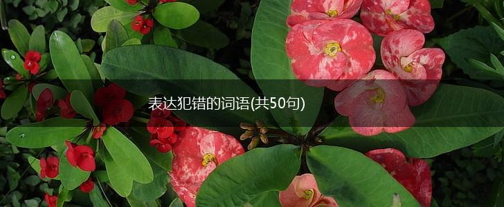 表达犯错的词语(共50句),第1张