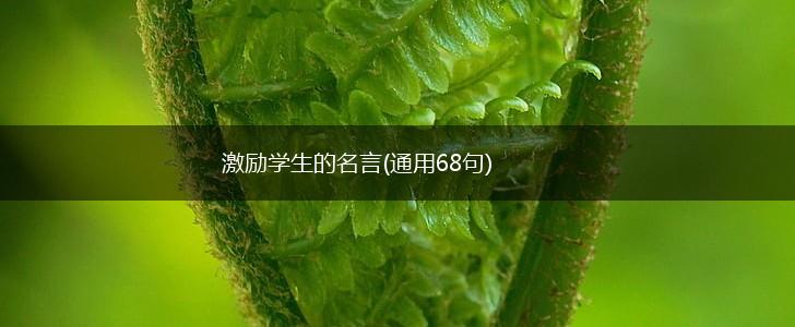 激励学生的名言(通用68句),第1张