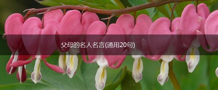 父母的名人名言(通用20句),第1张 父母的名人名言(通用20句),第1张