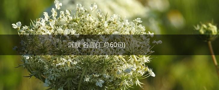 沉默 名言(汇总60句),第1张