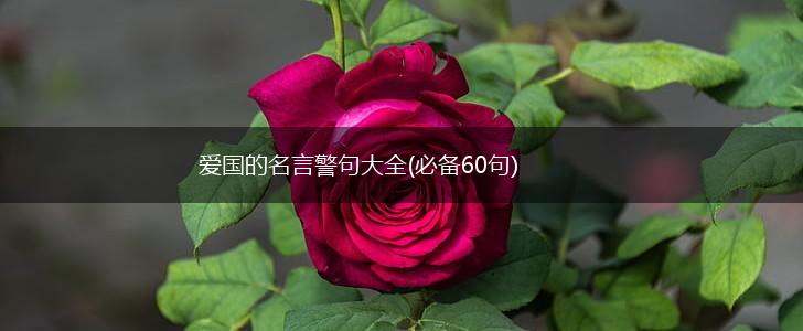 爱国的名言警句大全(必备60句),第1张