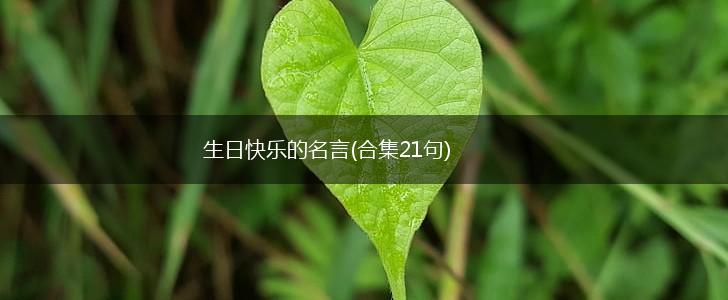 生日快乐的名言(合集21句),第1张