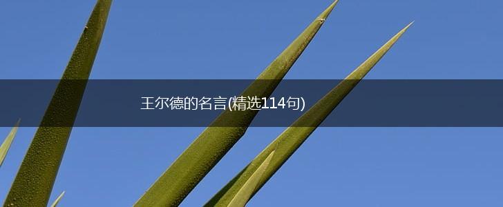 王尔德的名言(精选114句),第1张 王尔德的名言(精选114句),第1张