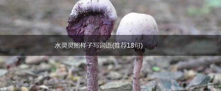 水灵灵照样子写词语(推荐18句),第1张