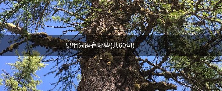 昂组词语有哪些(共60句),第1张