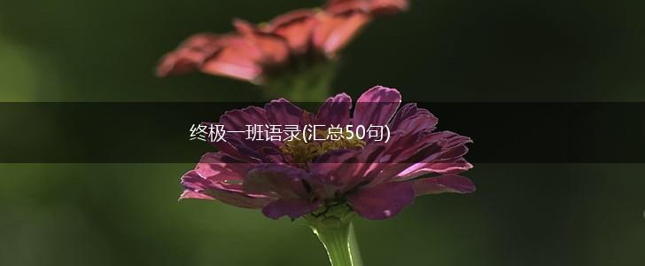 终极一班语录(汇总50句),第1张