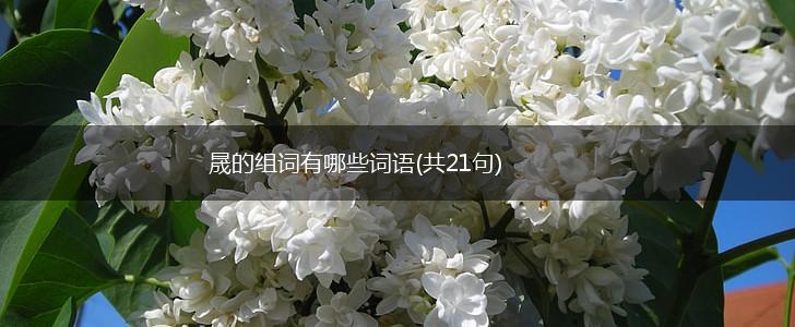 晟的组词有哪些词语(共21句),第1张