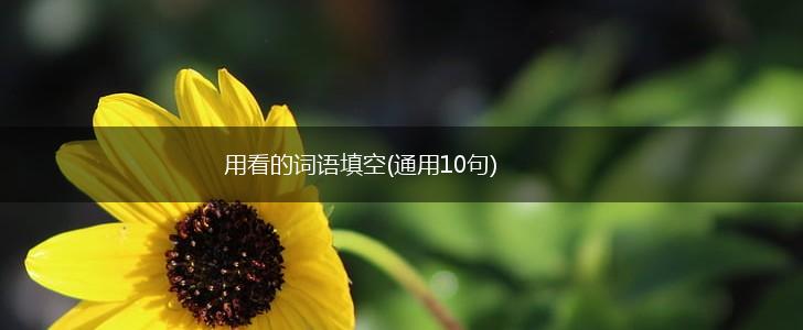 用看的词语填空(通用10句),第1张