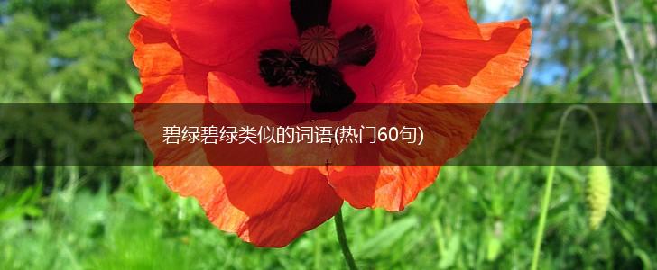 碧绿碧绿类似的词语(热门60句),第1张