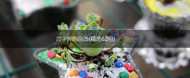 言字旁的词语(精选62句),第1张