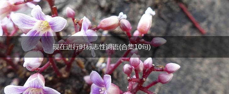 现在进行时标志性词语(合集10句),第1张