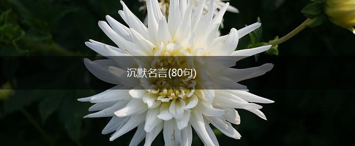 沉默名言(80句),第1张