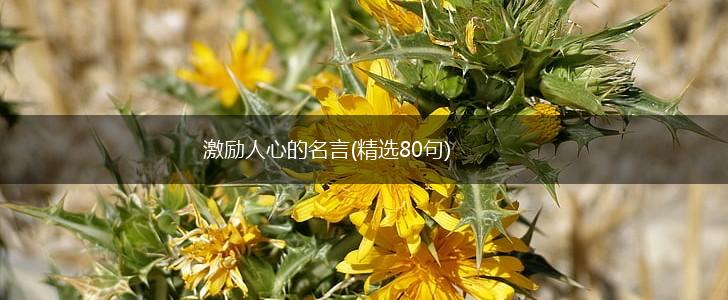 激励人心的名言(精选80句),第1张