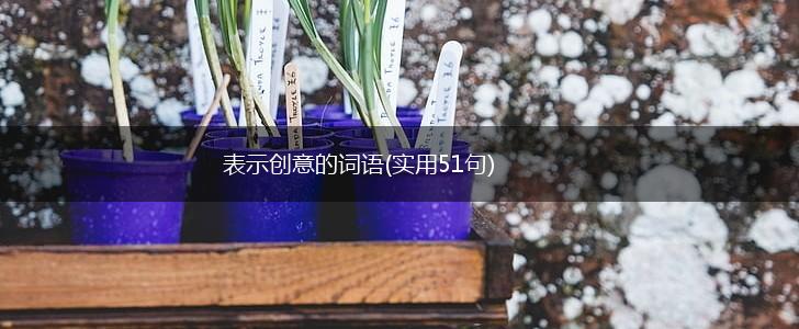 表示创意的词语(实用51句),第1张 表示创意的词语(实用51句),第1张