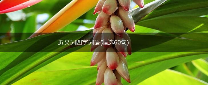 近义词四字词语(精选60句),第1张