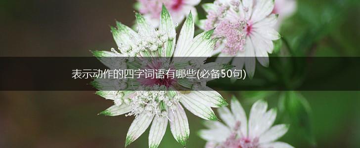 表示动作的四字词语有哪些(必备50句),第1张