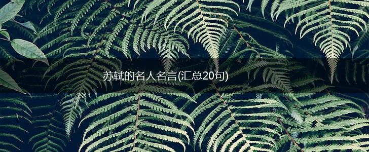 苏轼的名人名言(汇总20句),第1张