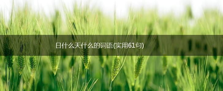 日什么天什么的词语(实用61句),第1张