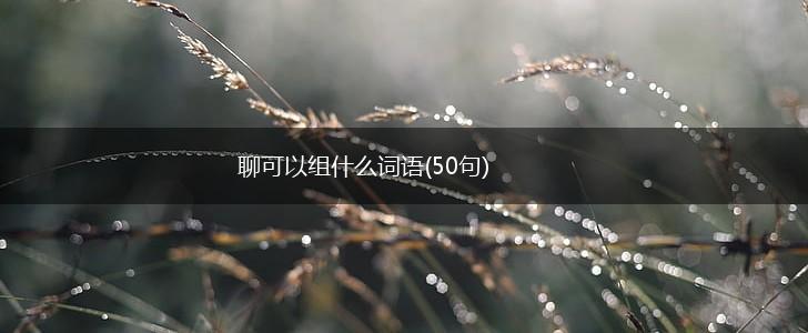 聊可以组什么词语(50句),第1张