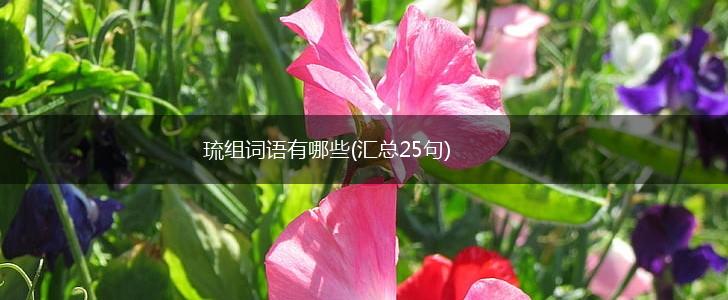 琉组词语有哪些(汇总25句),第1张