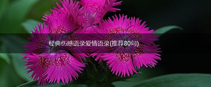 经典伤感语录爱情语录(推荐80句),第1张