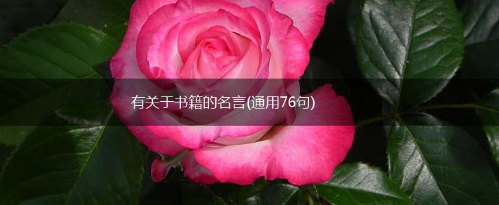 有关于书籍的名言(通用76句),第1张 有关于书籍的名言(通用76句),第1张