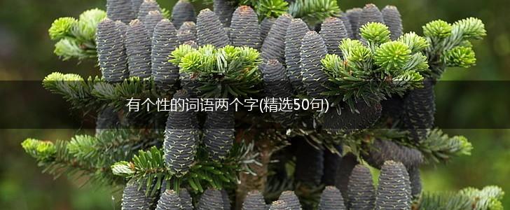 有个性的词语两个字(精选50句),第1张