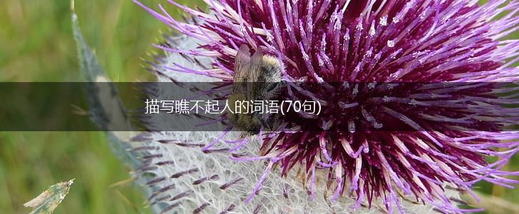 描写瞧不起人的词语(70句),第1张