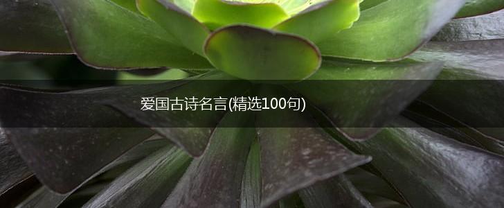 爱国古诗名言(精选100句),第1张