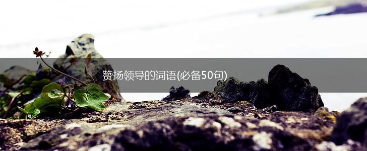 赞扬领导的词语(必备50句),第1张