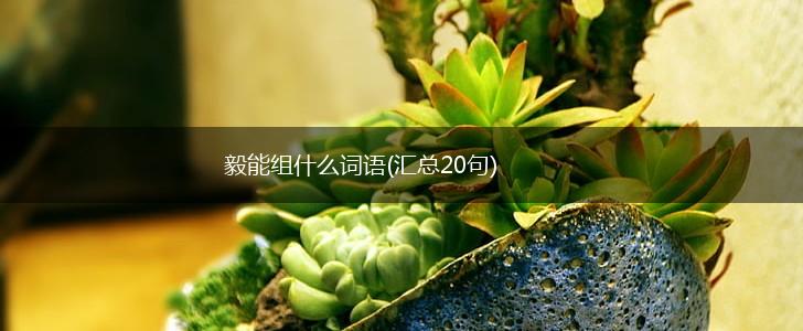 毅能组什么词语(汇总20句),第1张