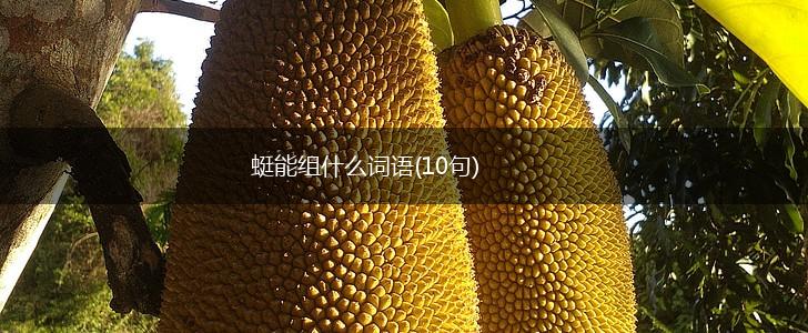 蜓能组什么词语(10句),第1张