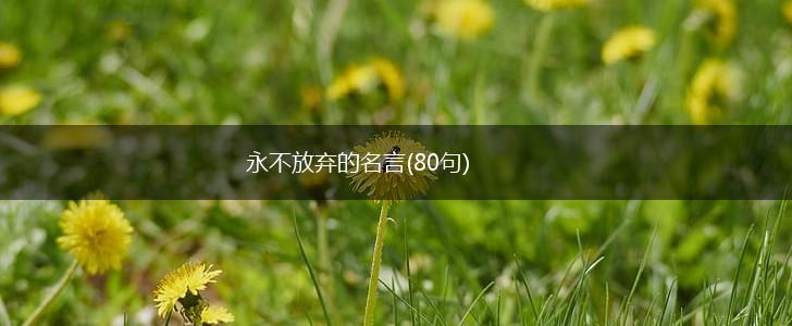 永不放弃的名言(80句),第1张 永不放弃的名言(80句),第1张