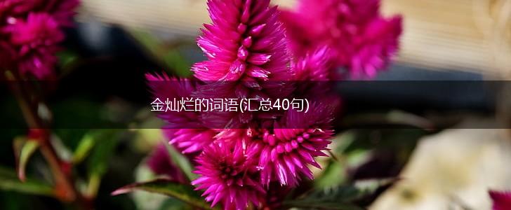 金灿烂的词语(汇总40句),第1张