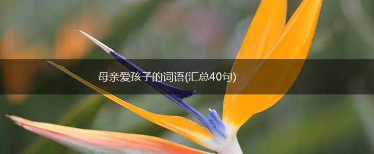 母亲爱孩子的词语(汇总40句),第1张