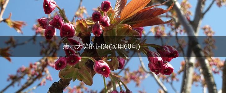 表示大笑的词语(实用60句),第1张