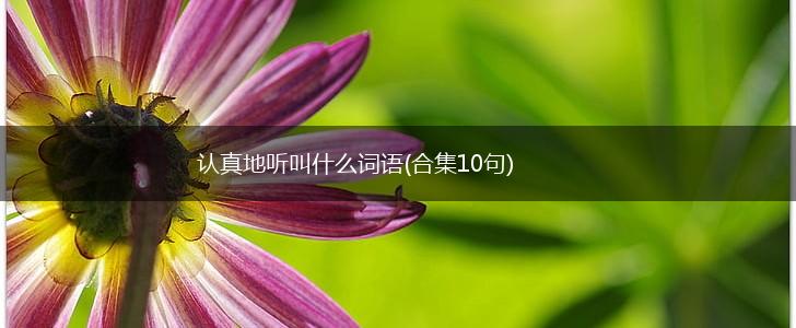 认真地听叫什么词语(合集10句),第1张