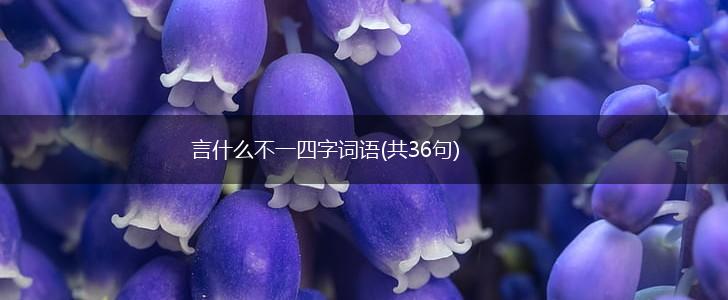 言什么不一四字词语(共36句),第1张 言什么不一四字词语(共36句),第1张